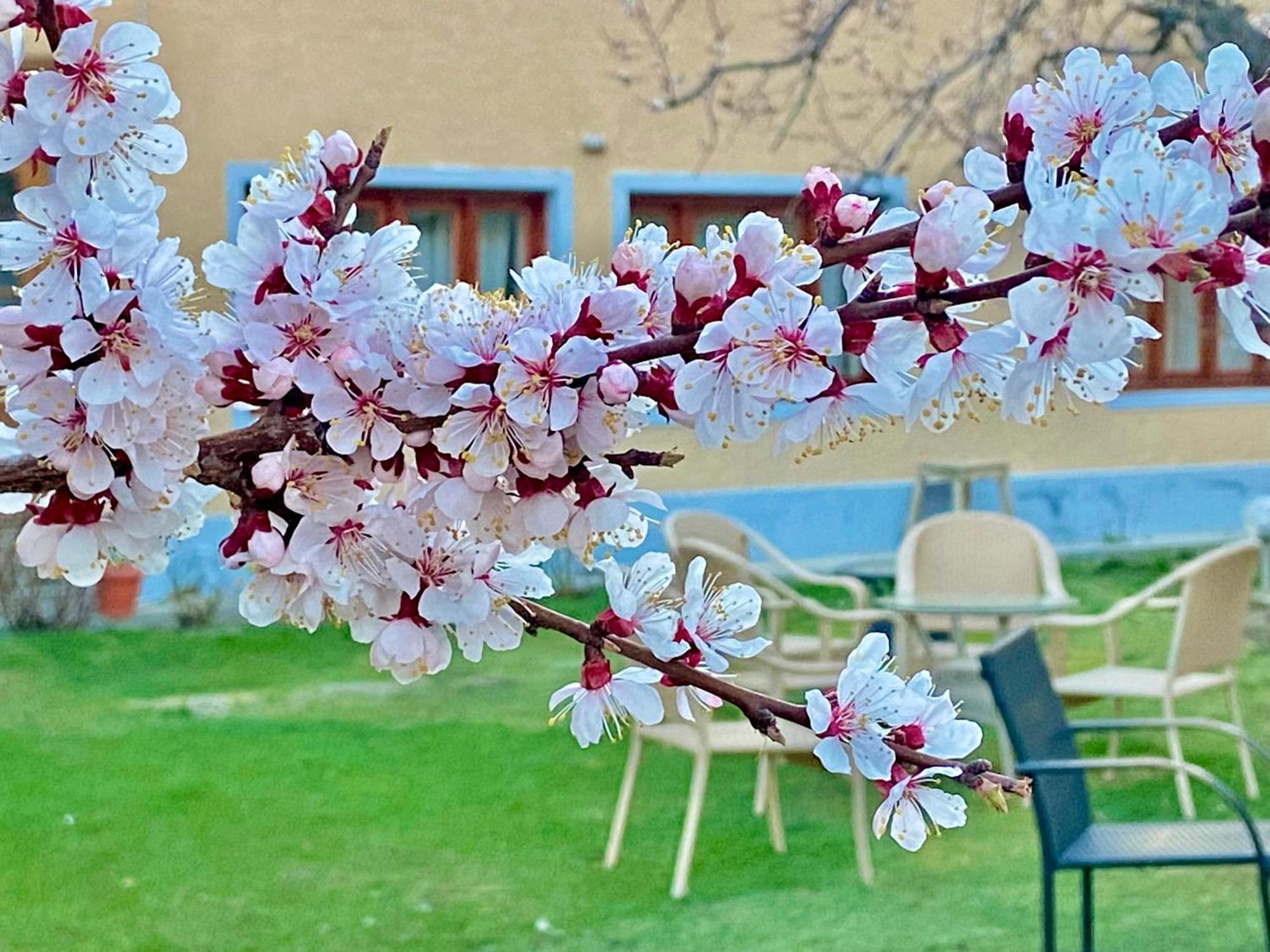 לה Hotel Palam Hills מראה חיצוני תמונה