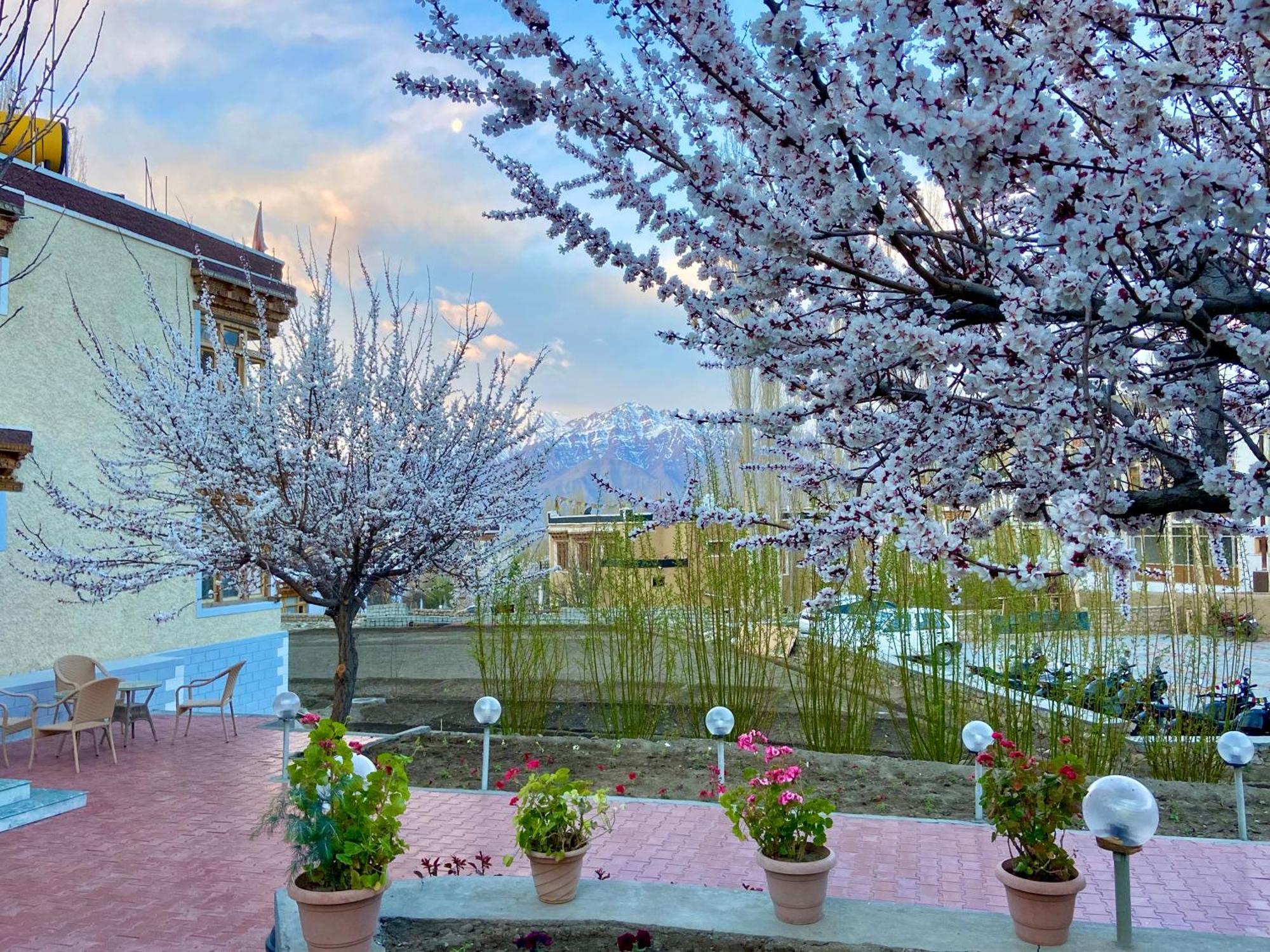 לה Hotel Palam Hills מראה חיצוני תמונה